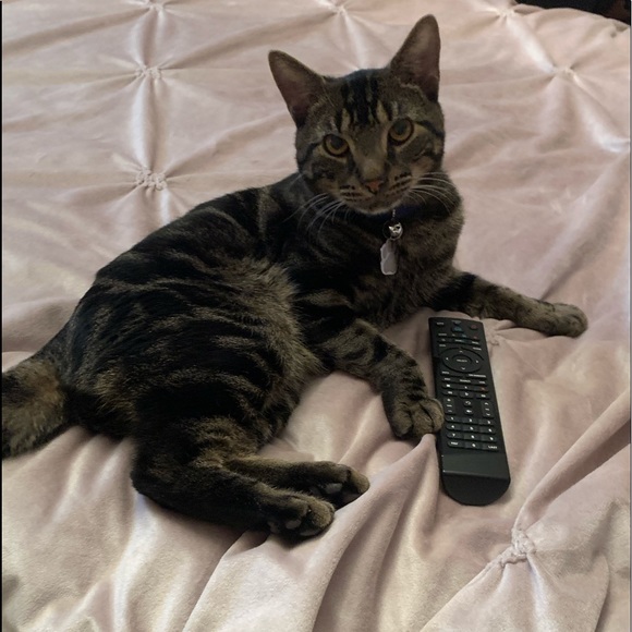 Meet your Posher, Jeryl - Picture 2 of 3